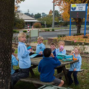 learning area img